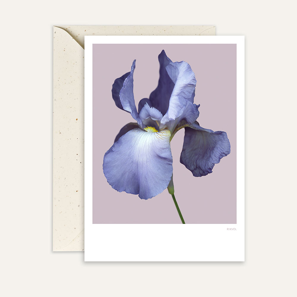 Aufstellkarte BeardedIris 01 - Violet, Iris, Florale Grußkarte mit Umschlag von Studio Rijkvol    