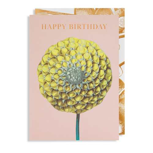  Lagom Doppelkarte  Kew Gardens "Happy Birthday"   Dahlie