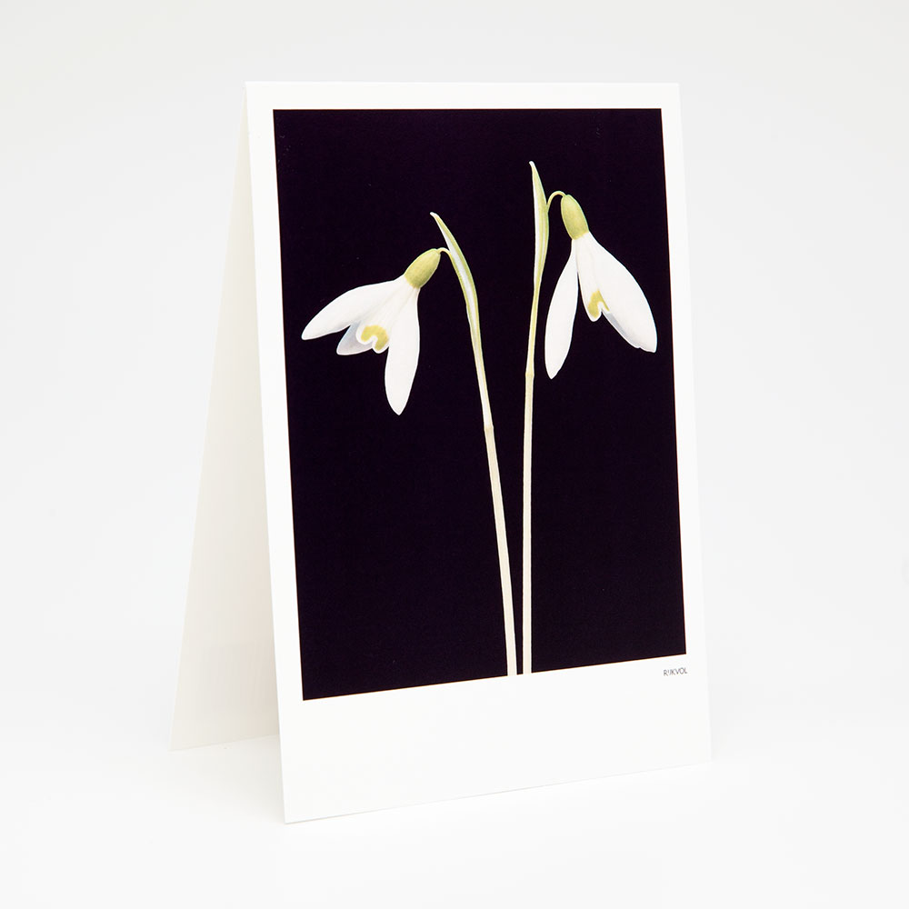 Aufstellkarte SnowDrop 01, BlackEdition, Schneeglöckchen, Florale Grußkarte mit Umschlag von Studio Rijkvol 