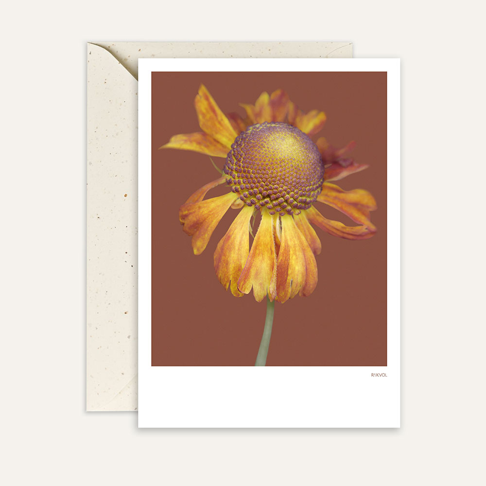 Aufstellkarte Helenium 01 - Red, Florale Grußkarte mit Umschlag von Studio Rijkvol 